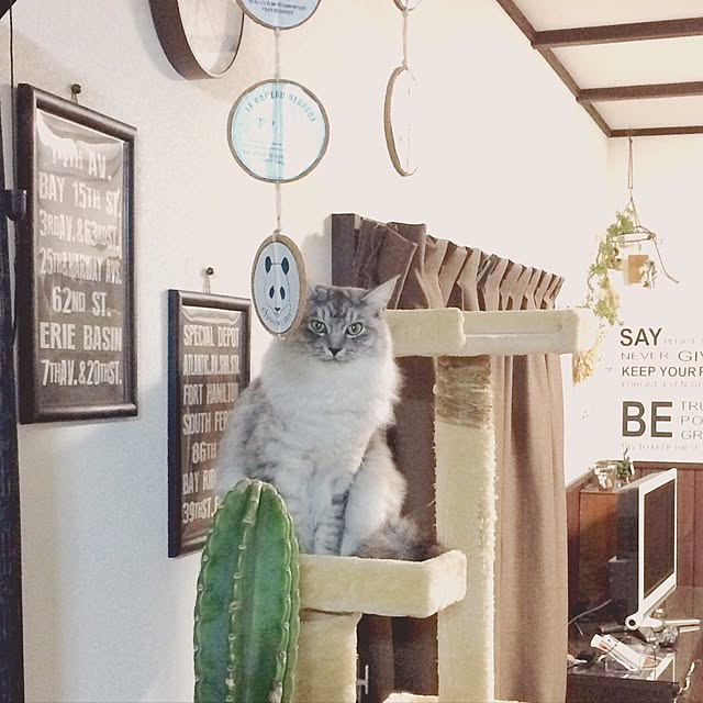 ayu__mamanさんの実例写真