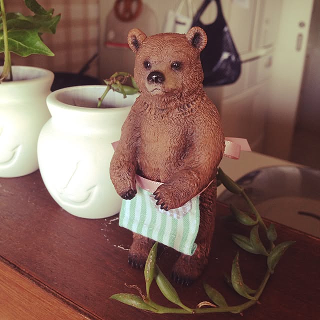 shokoさんの実例写真