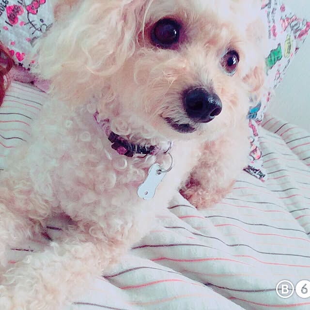 naruさんの実例写真