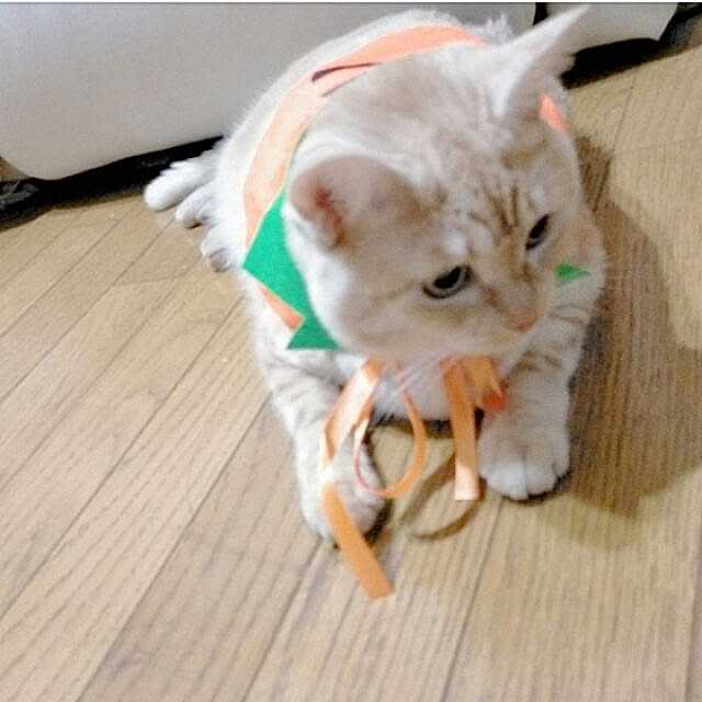 heart.emiemi57.whiteさんの実例写真