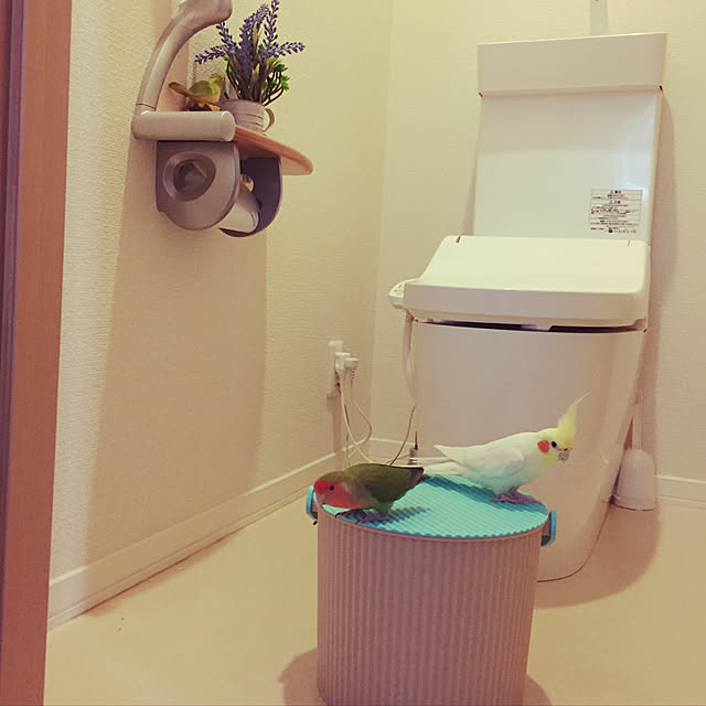 toratanさんの実例写真