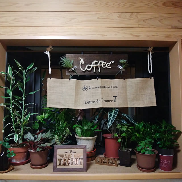 Brown.Lifeさんの実例写真