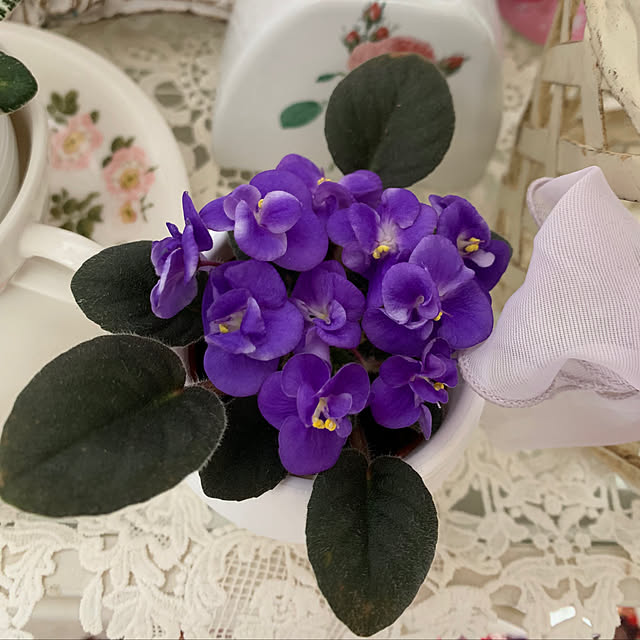 AYUKOさんの実例写真