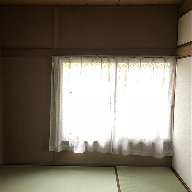 Shigeさんの実例写真