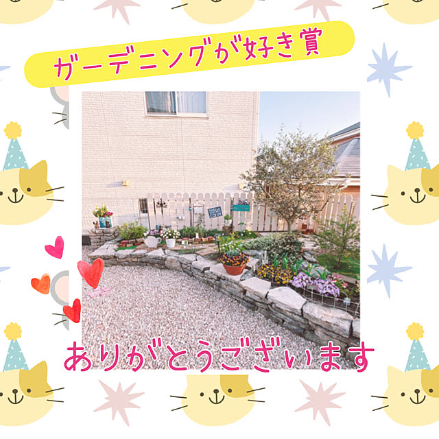 moolさんの実例写真