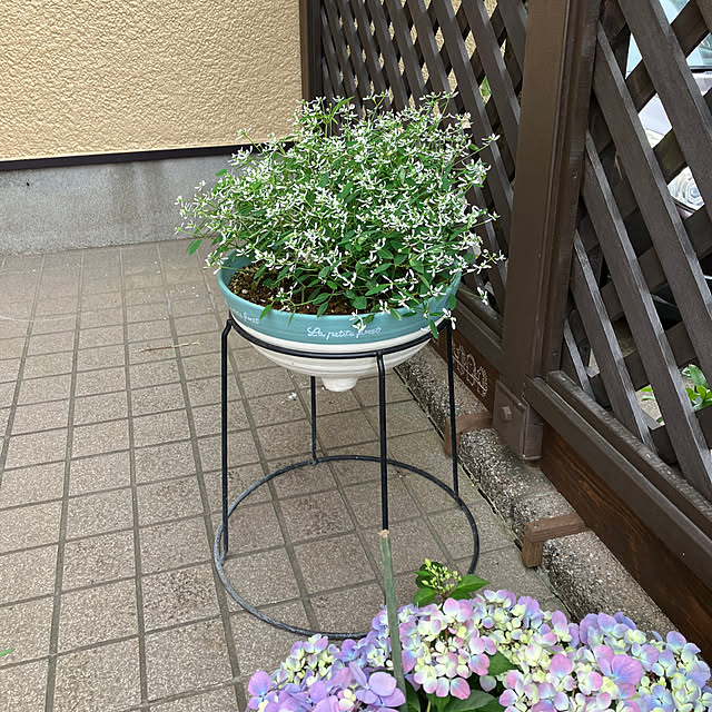maron915さんの実例写真