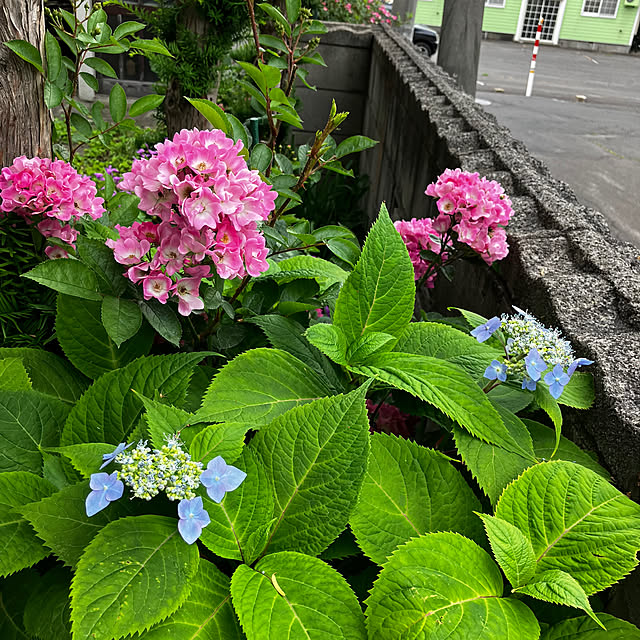 mottimoさんの部屋