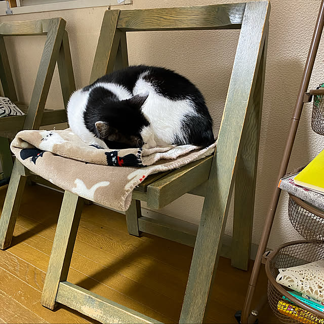 SHIHOさんの実例写真