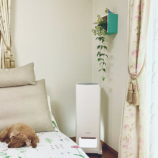 haruminさんの実例写真