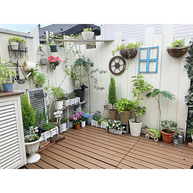 makoriさんの実例写真