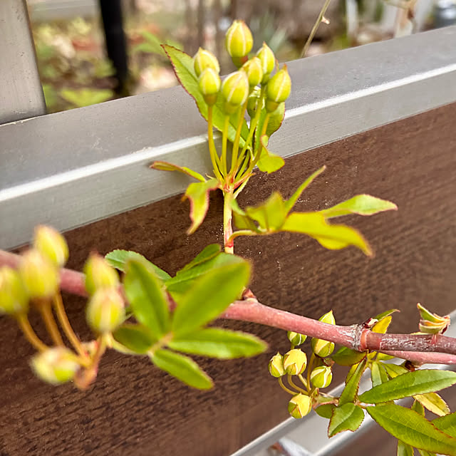 ayayayayaさんの部屋