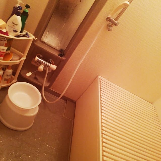 バス/トイレのインテリア実例 - 2014-04-07 01:24:13
