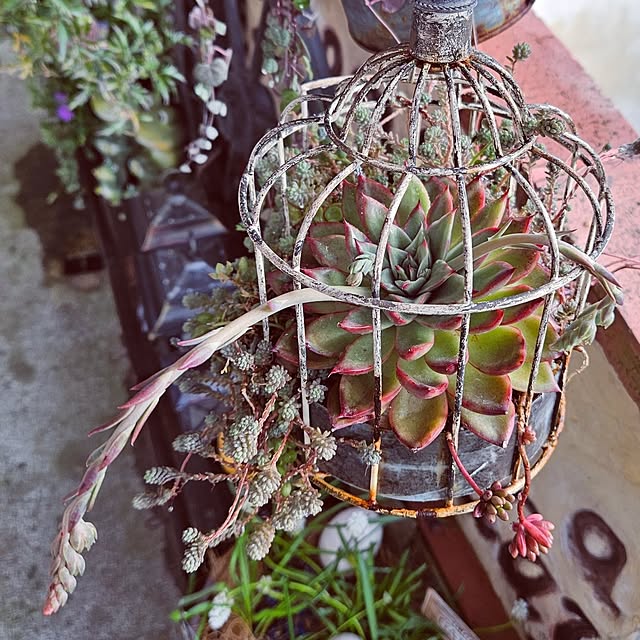 mocomocoさんの部屋