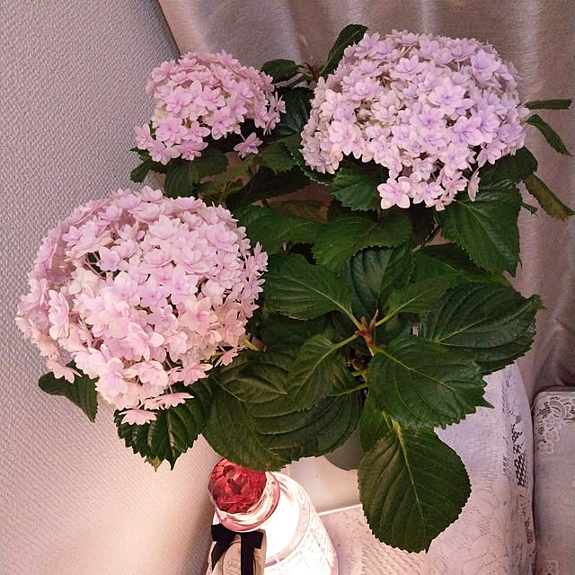 m_chinさんの実例写真