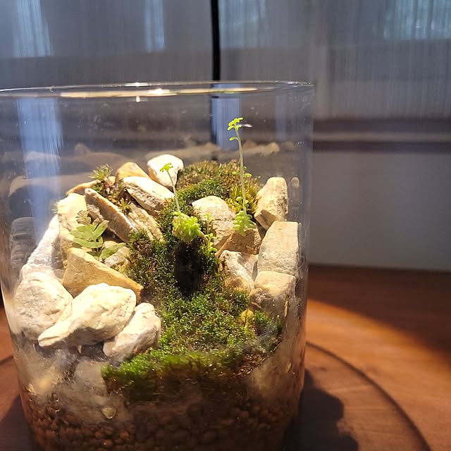 masarinn.さんの部屋