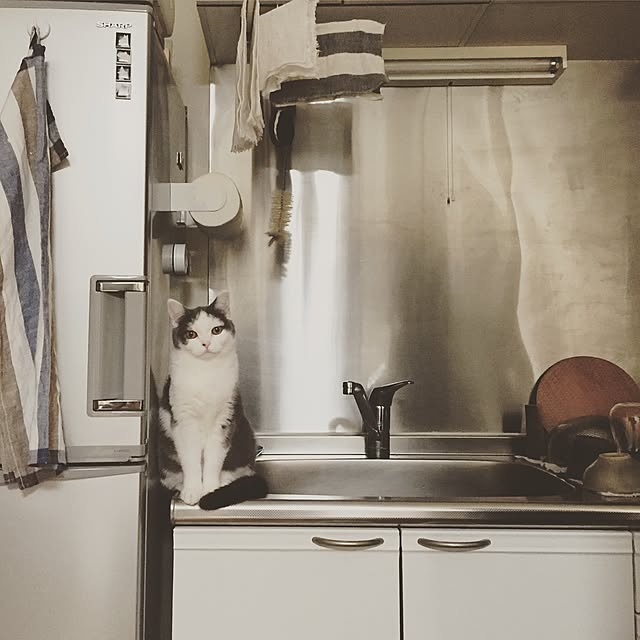 yunさんの実例写真