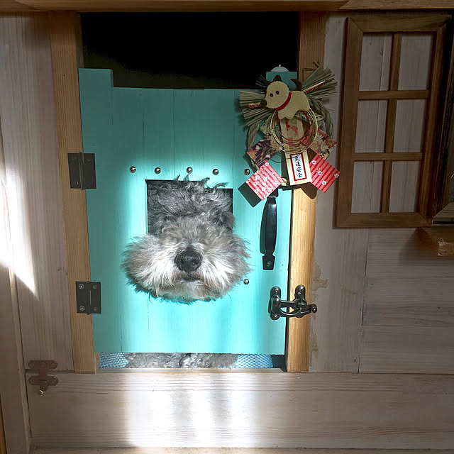 makoriさんの実例写真