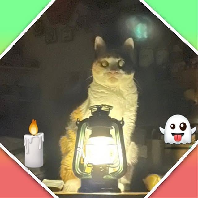 nanaさんの部屋