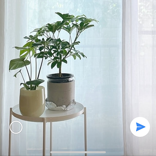yumiさんの実例写真