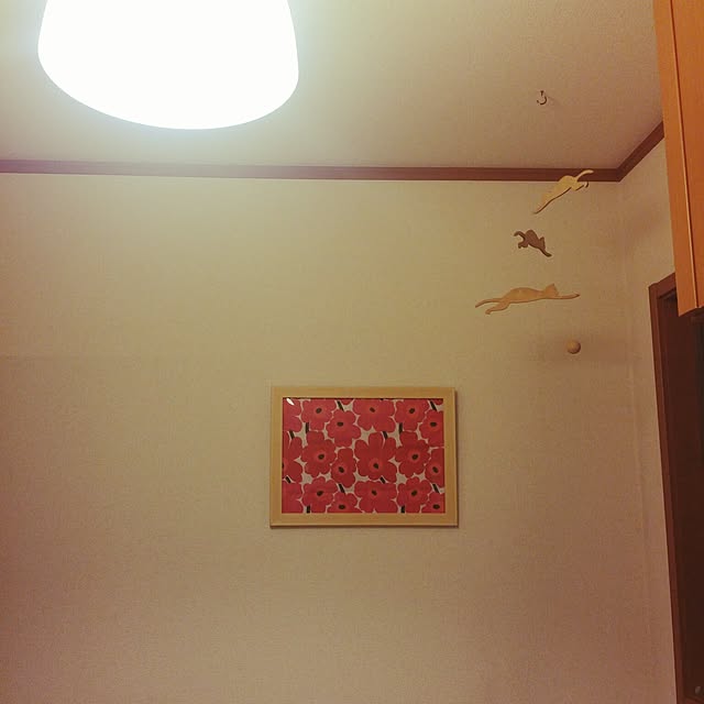 ikeprioさんの実例写真