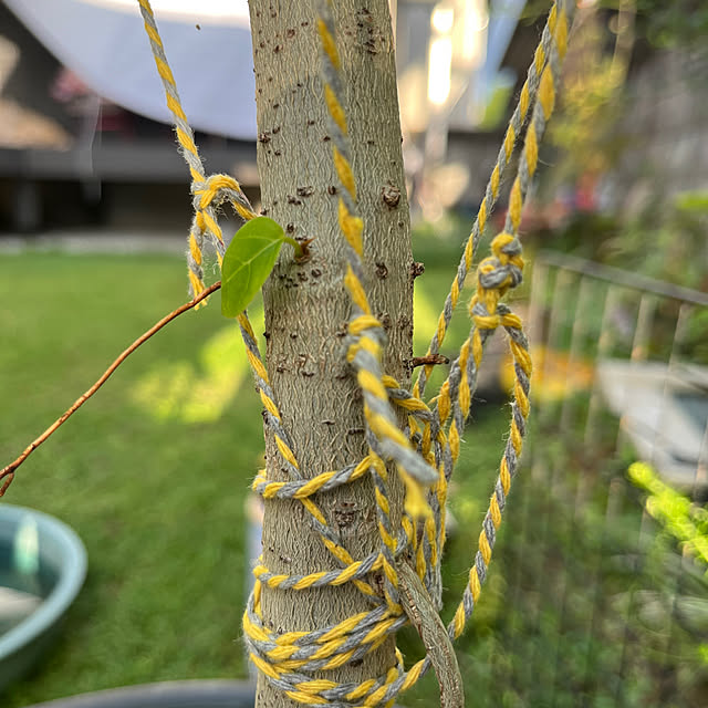 asさんの部屋