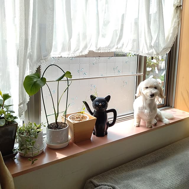 hiroeさんの部屋