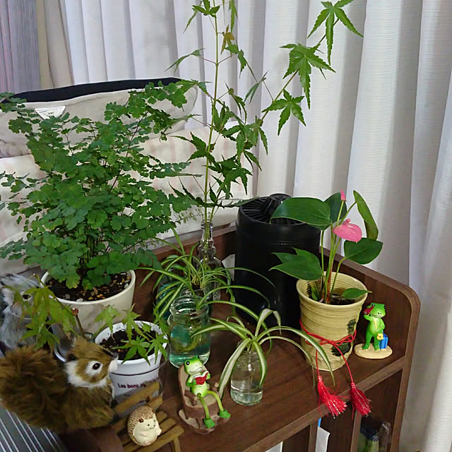 Reikomさんの実例写真