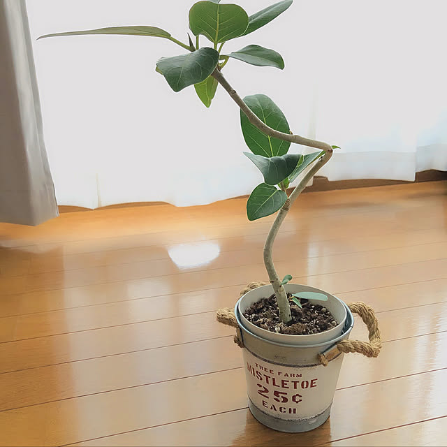 h_t_m__roomさんの実例写真