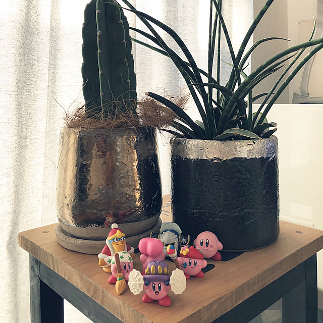 Akikoさんの実例写真