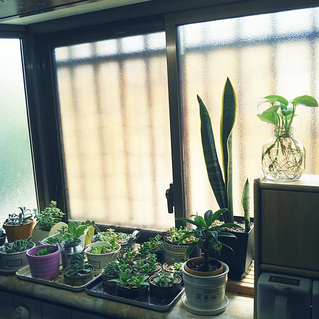 LittleMyさんの実例写真