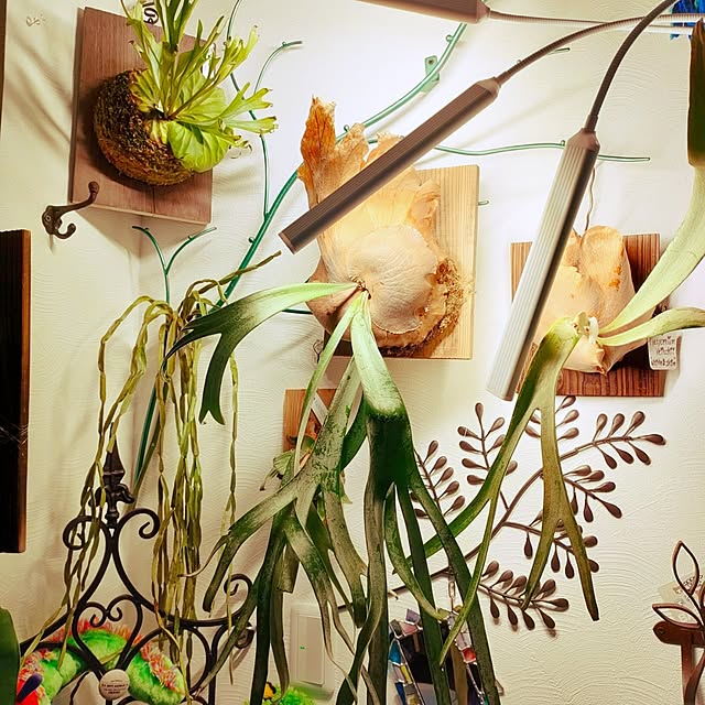 nacchanさんの部屋