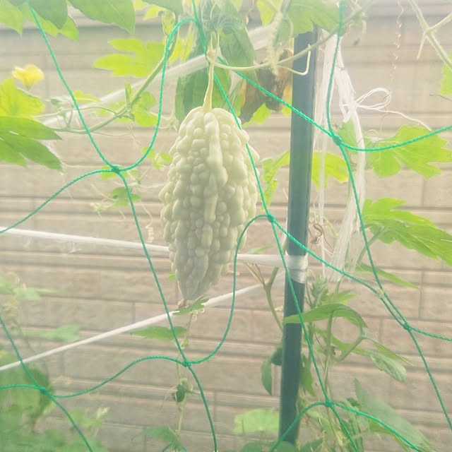 mmpoohさんの部屋