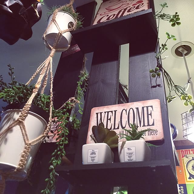 nonさんの実例写真
