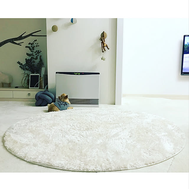 haruhinaさんの実例写真