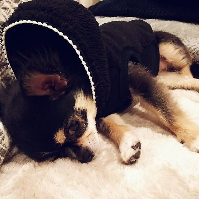mihoccoさんの実例写真
