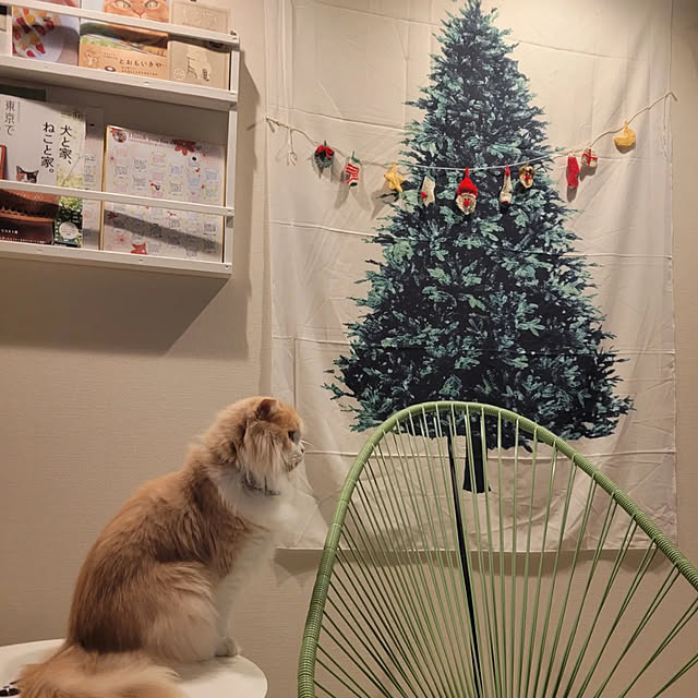 nonさんの実例写真