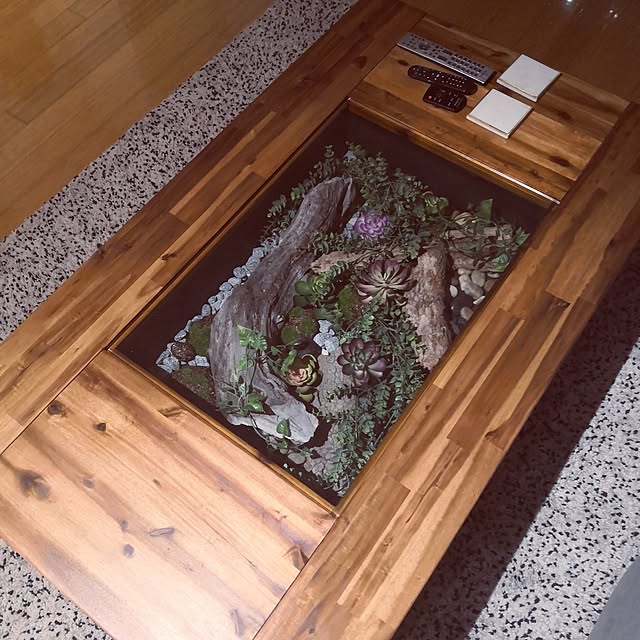 リビング/DIY/ナチュラル/観葉植物のインテリア実例 - 2023-08-13 21:42:40