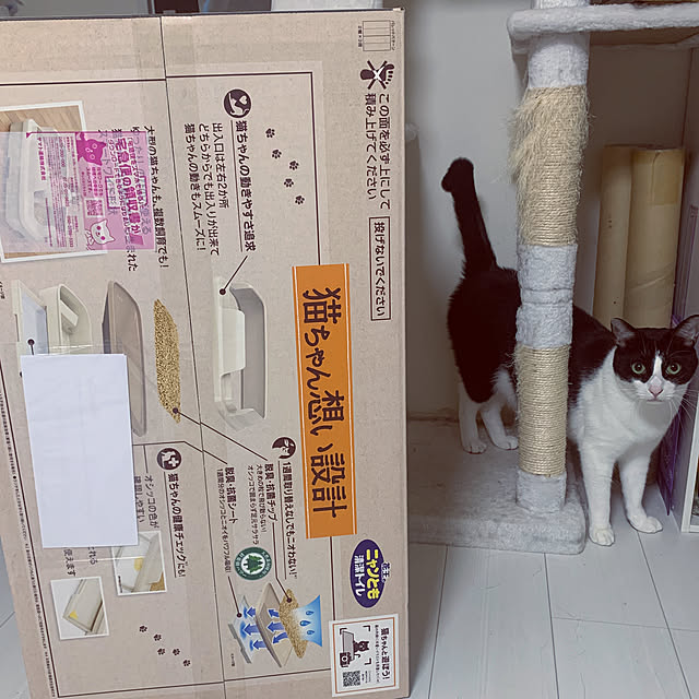 chisouさんの実例写真