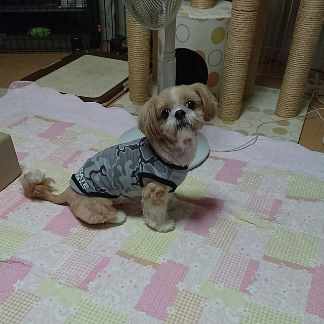 ronさんの実例写真