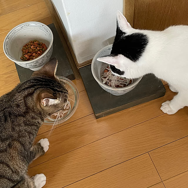 nobikoさんの部屋