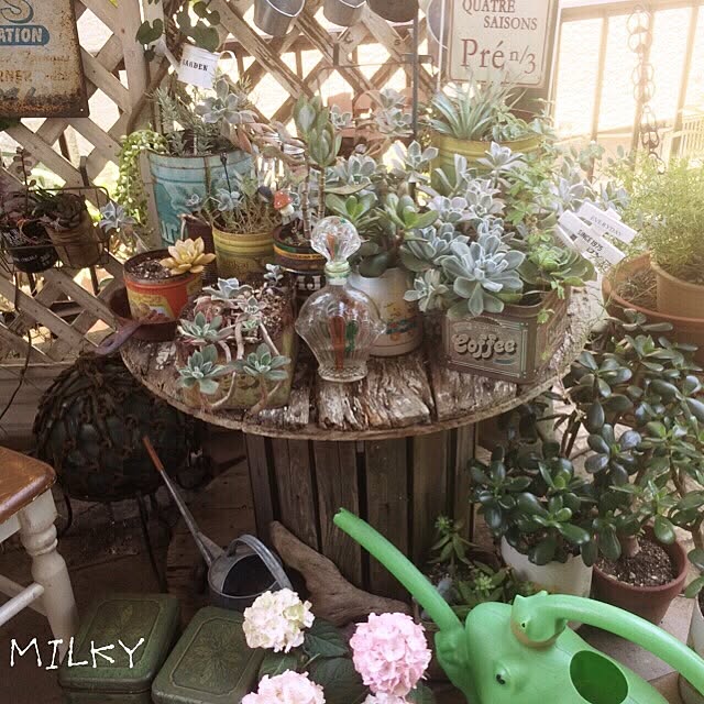 milkyさんの実例写真