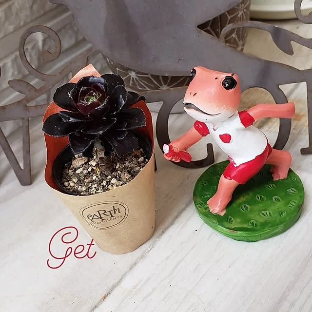 ranmamaさんの実例写真