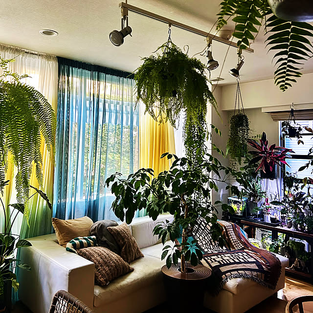 DAYONEさんの実例写真