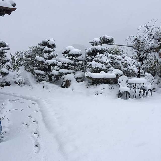 yukiさんの実例写真