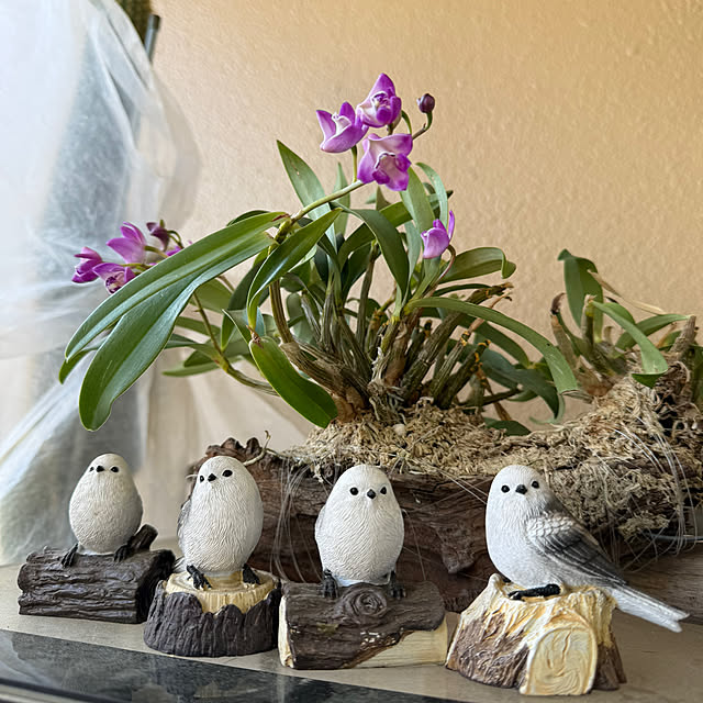 Aqettyさんの実例写真