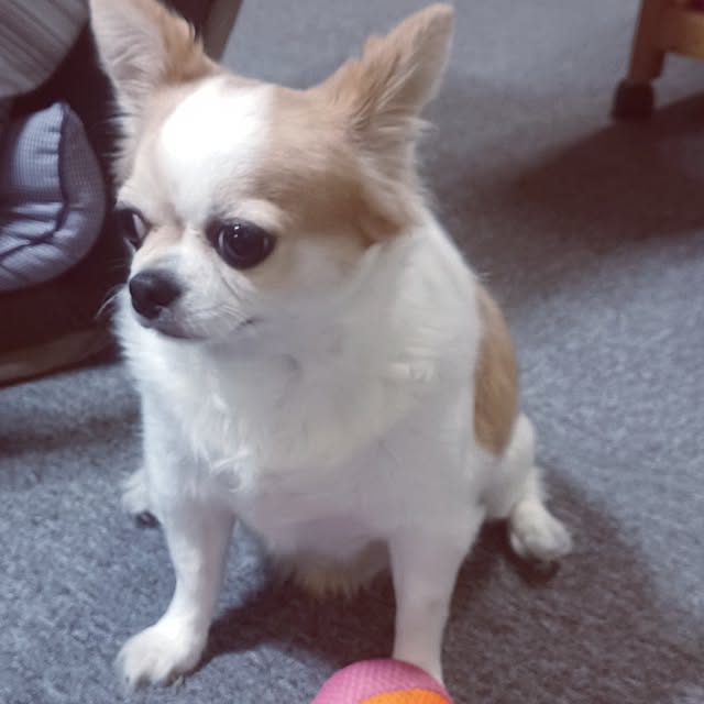 hiro.904さんの部屋