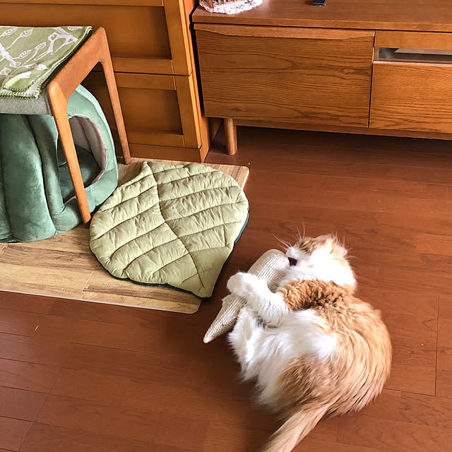 uchidaizuさんの部屋