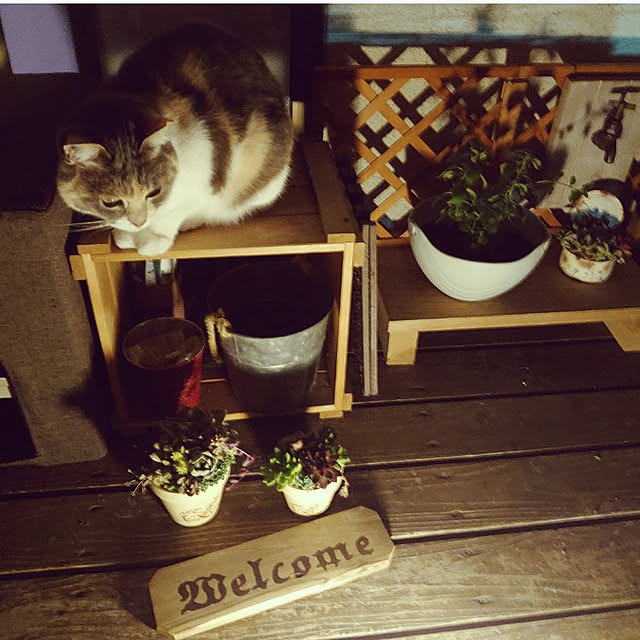 fukuさんの実例写真