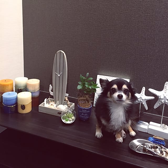 03160613mintさんの実例写真