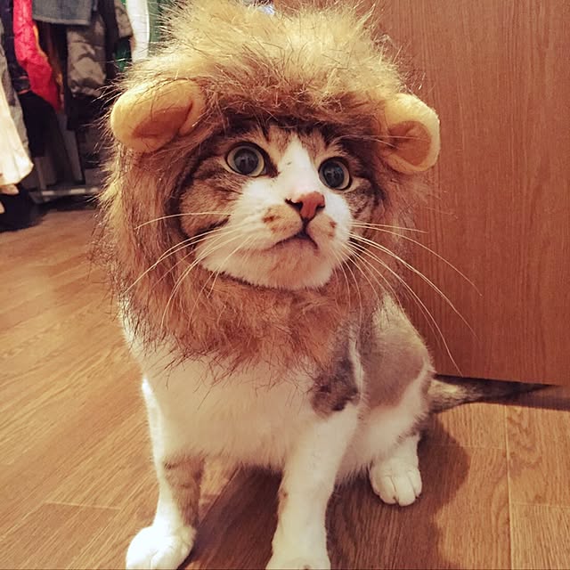 RANIさんの実例写真